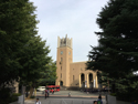 早稲田大学2