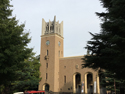 早稲田大学3